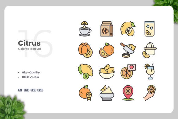 Citrus Color Icons Graphics Review