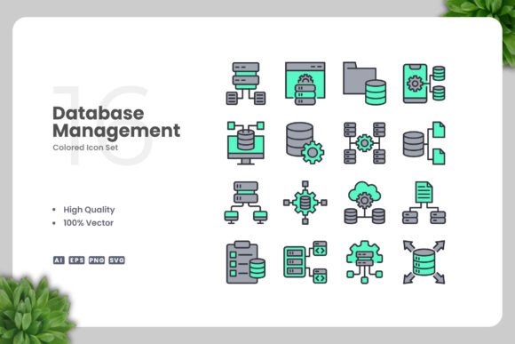 Database Management Color Icons: Graphics and Icons for Digital Sellers