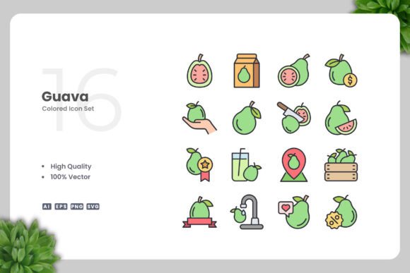 Guava Colored Icons Graphics Review